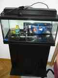 Acuario 60 litros