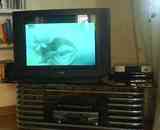 Televisión sony 29''