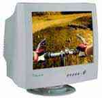 Monitor ordenador 17"