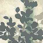 Busco abalorios, bisuteria...