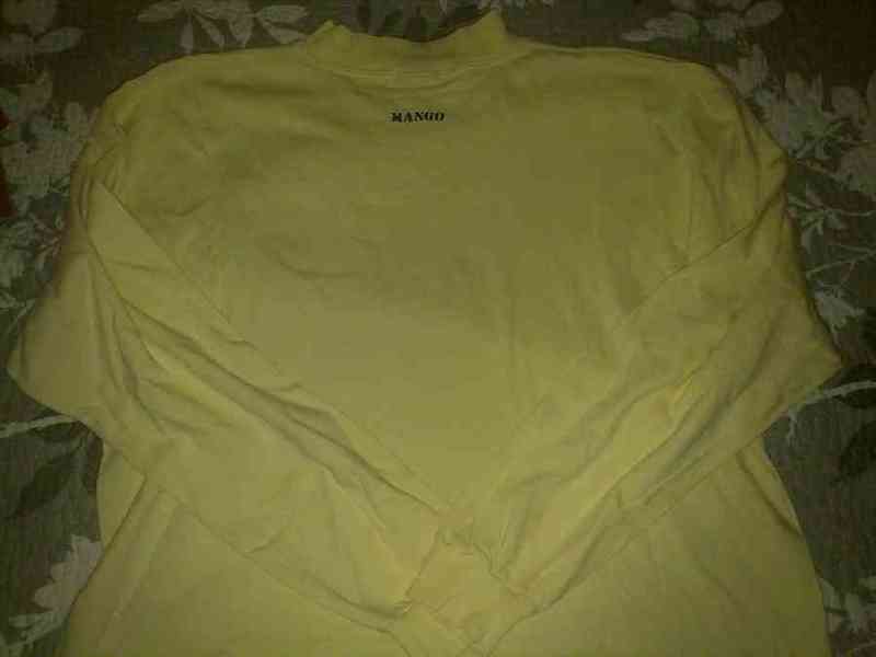 Camiseta de mango