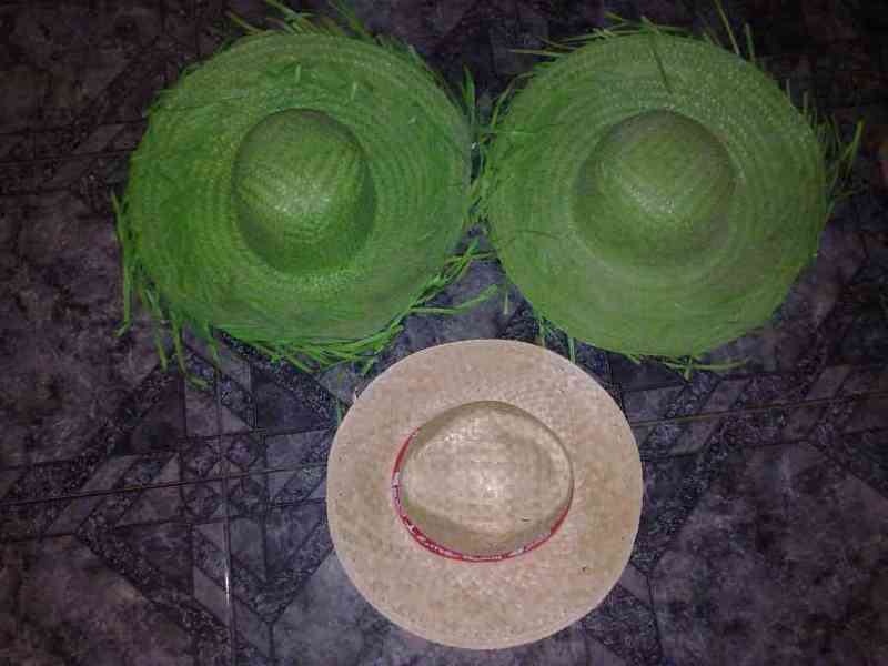 Sombreros de paja