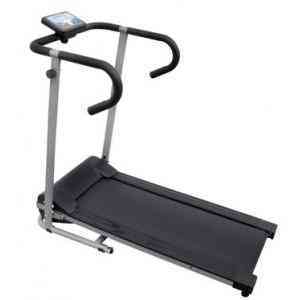 Necesito cinta andadora para perro