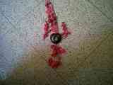 Regalo collar (criss30)