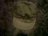 Regalo gorra 1