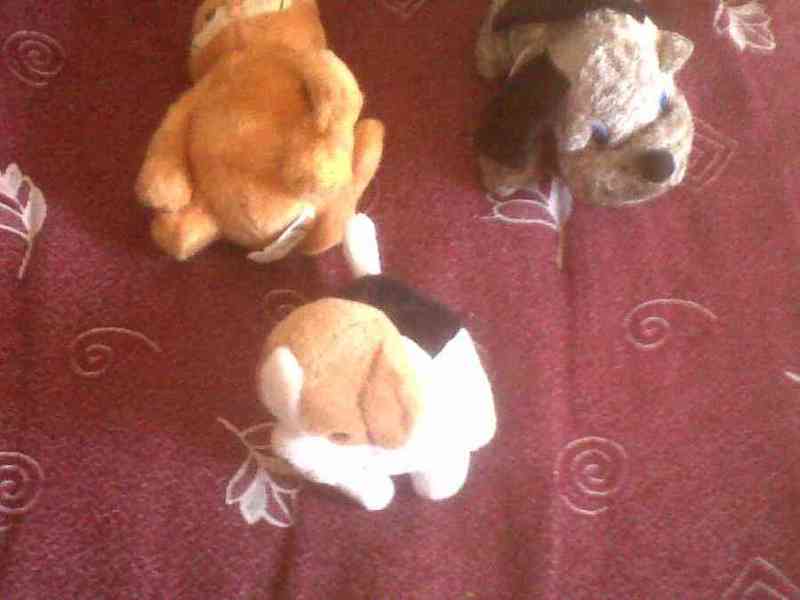 Regalo estos peluches