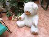 Oso de peluche gigante blanco