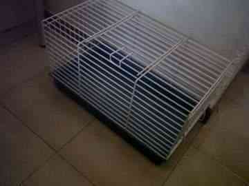 Jaula para hamster, jerbo