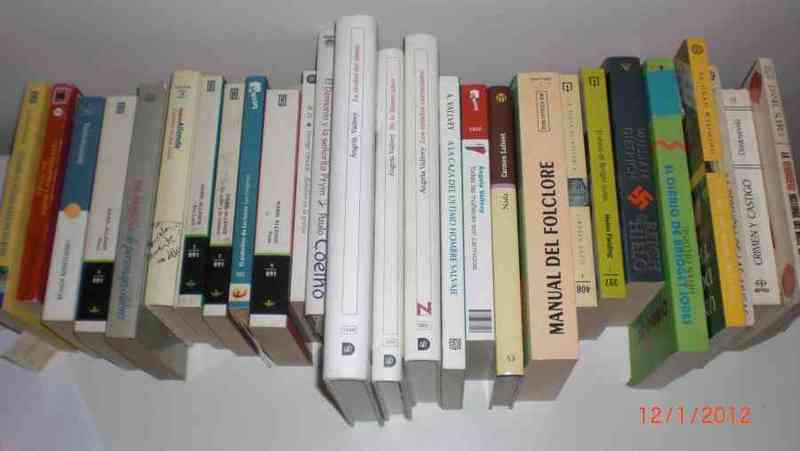 28 libros, la mayoría novela (reservado a dyan)