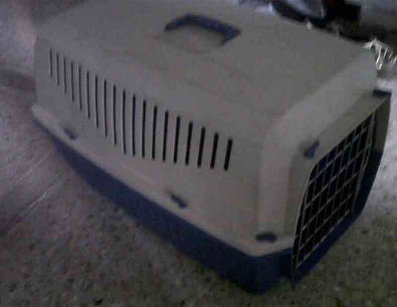 Transportín para perro mediano