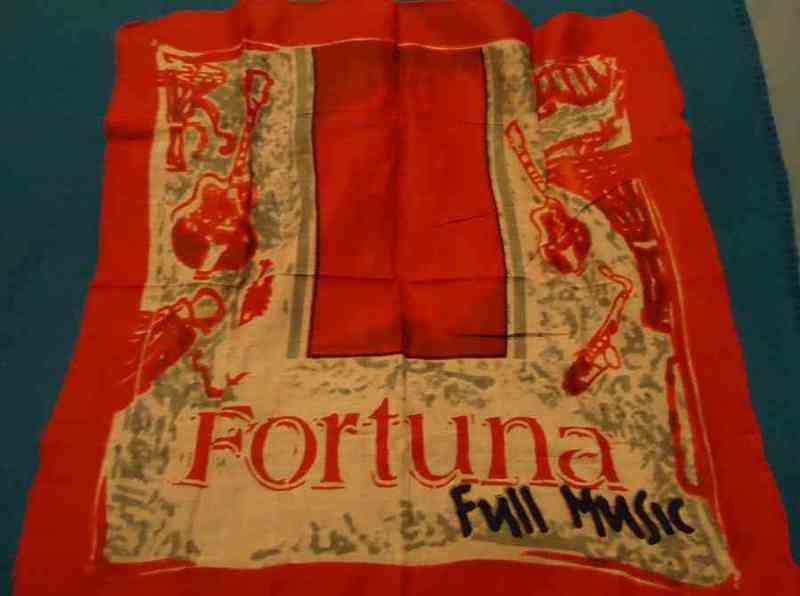 Pañuelo fortuna(montse)