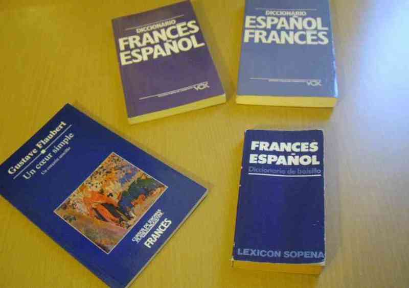 Diccionarios y novela de francés