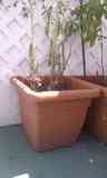 Regalo jardinera