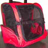 Mochila-transportín para perro pequeño o gato