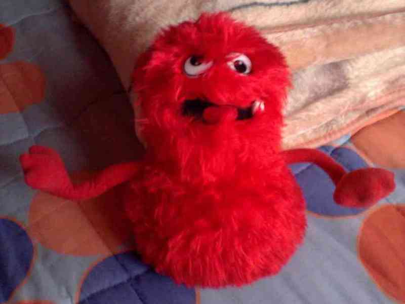 Peluche de pelocho