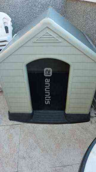 Caseta de perro grande