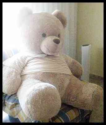 Oso peluche gigante
