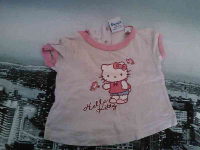 Camiseta  hello  kitty- gemma2772