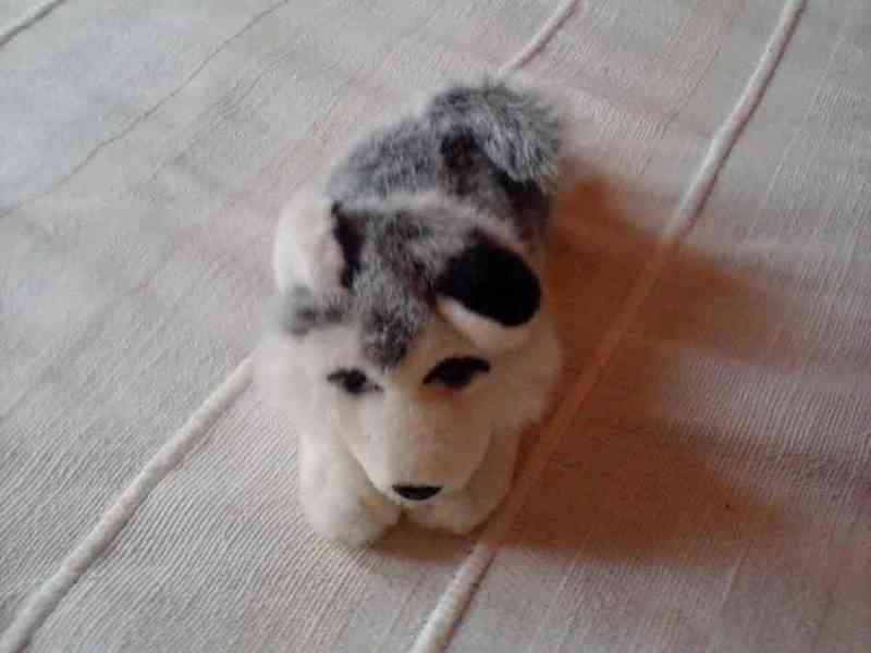 Peluche de perrito husky