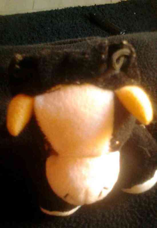 Peluche negro guarda movil