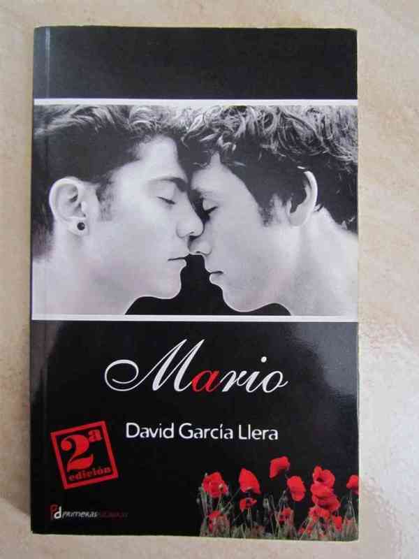Mario, novela de temática gay.