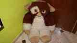 Peluche gigante gizmo