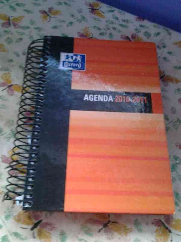 Agenda 2010-2011