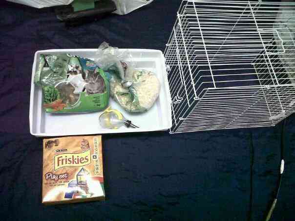 Regalo jaula de hamters