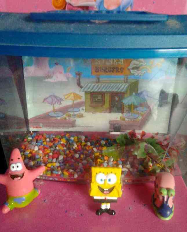 Pecera de bob esponja