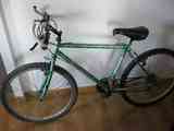 Bici adulto