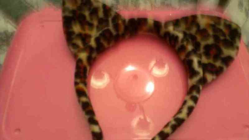 Diadema de leopardo