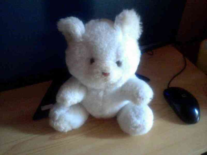 Peluche oso blanco (no envío)