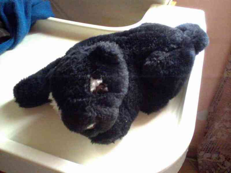 Peluche pantera (no envío)