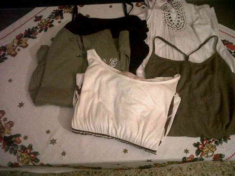 Lote blusas 10