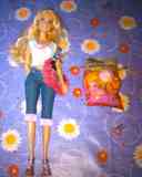 Barbie y accesorios