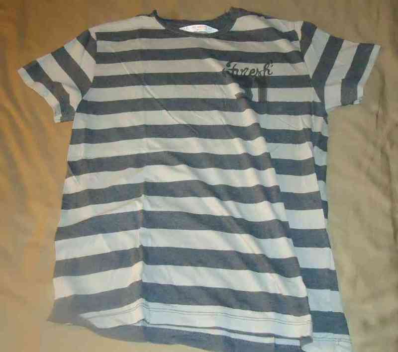 Camiseta chico gris  zara t-m