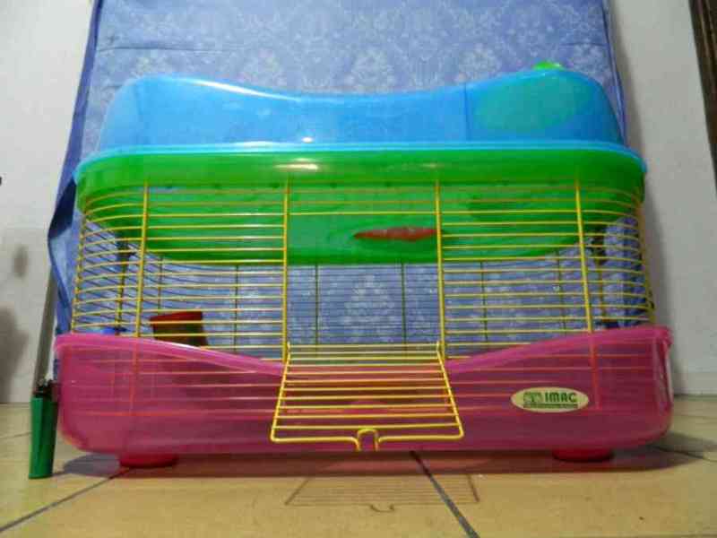 Jaula para roedores, comida y viruta