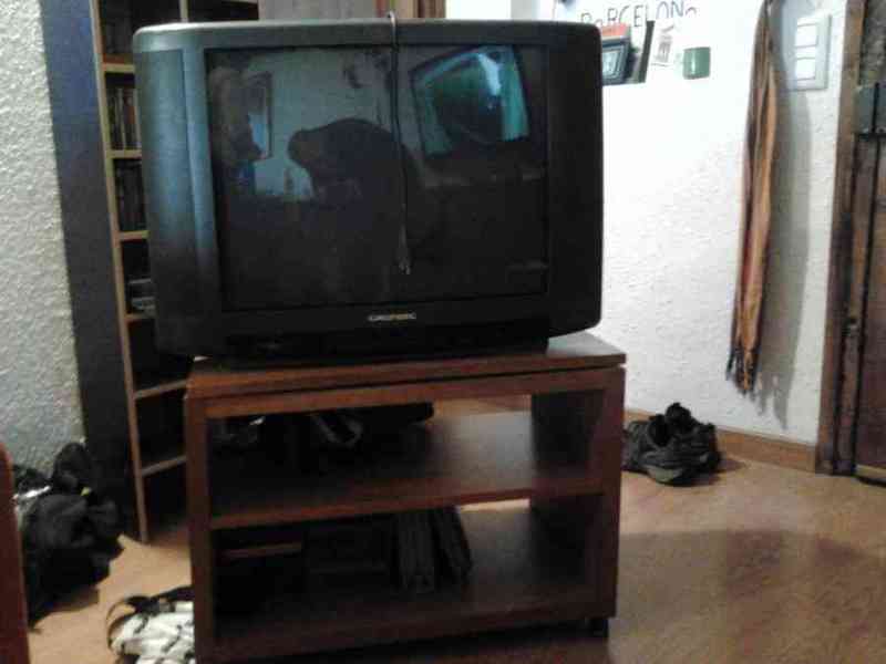 Tv tub catòdic + moble