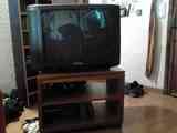 Tv tub catòdic + moble