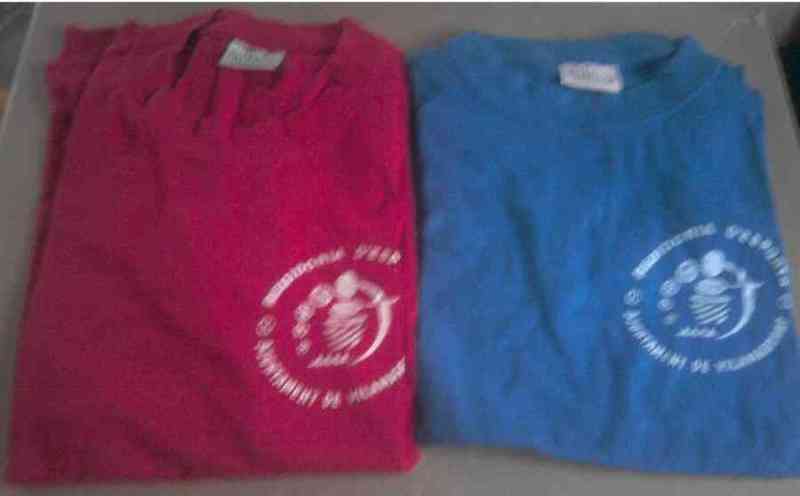 2 camisetas t-10/12 años