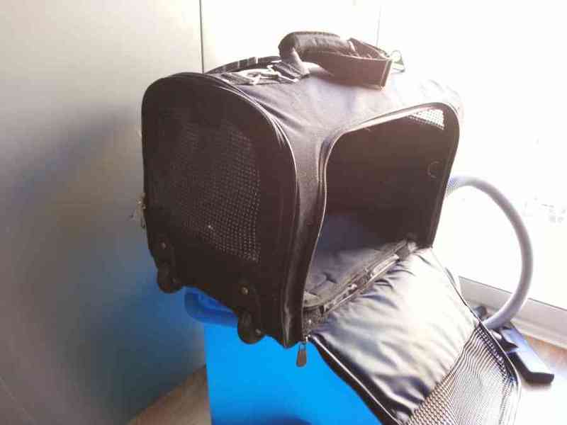 Transportín para gato