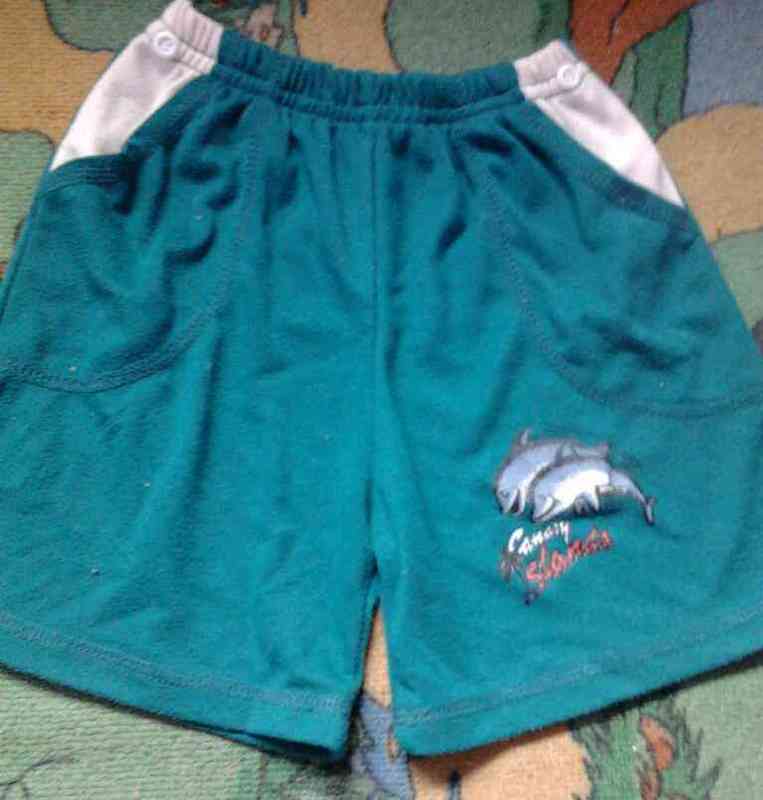 Bermudas delfines