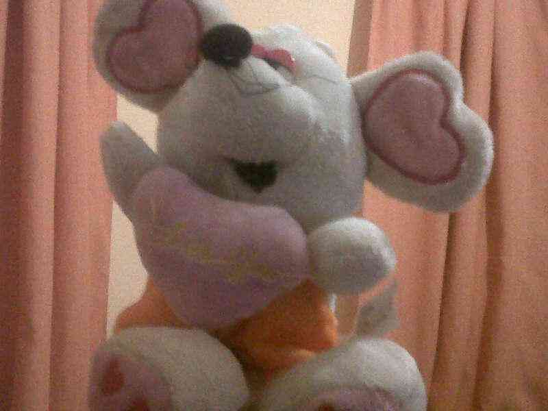 Peluche.....2