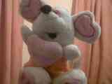 Peluche.....2