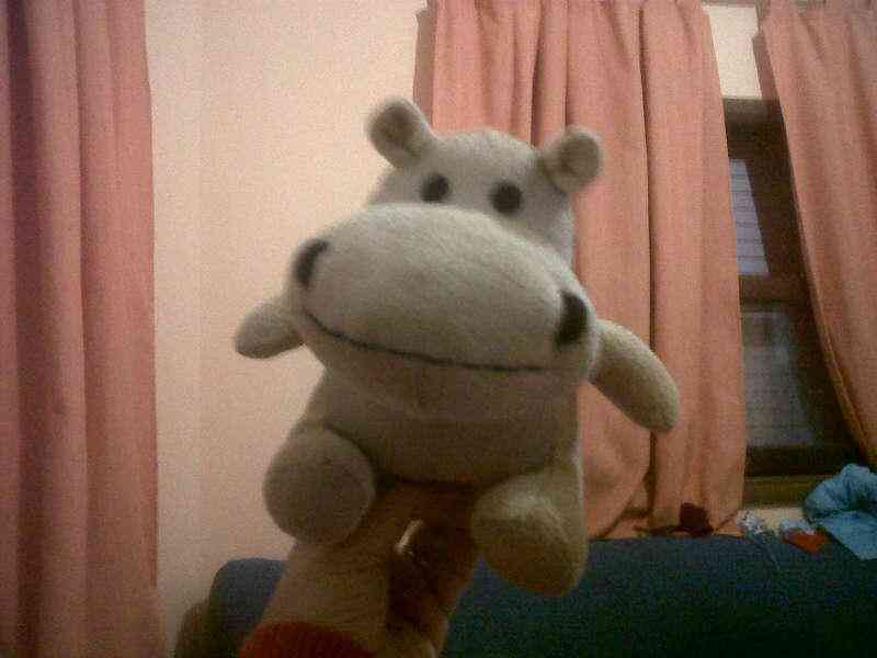 Peluche.....14