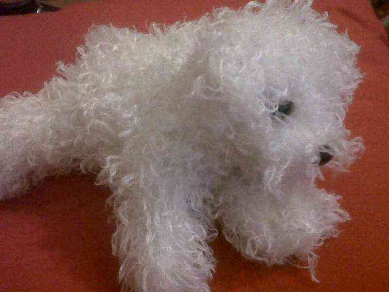 Peluche.....18