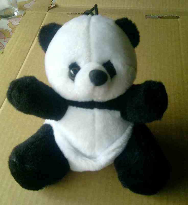 Panda peluche