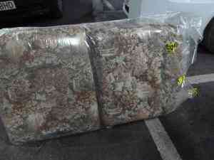 Regalo cojines sofa cama