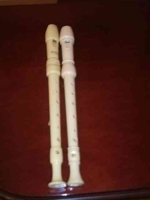 Regalo flautas (a halverto)