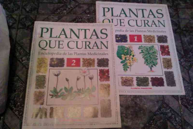 Plantas que curan